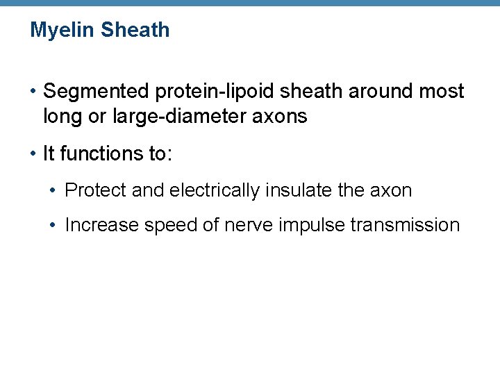 Myelin Sheath • Segmented protein-lipoid sheath around most long or large-diameter axons • It