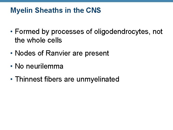 Myelin Sheaths in the CNS • Formed by processes of oligodendrocytes, not the whole