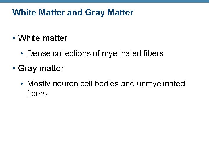 White Matter and Gray Matter • White matter • Dense collections of myelinated fibers