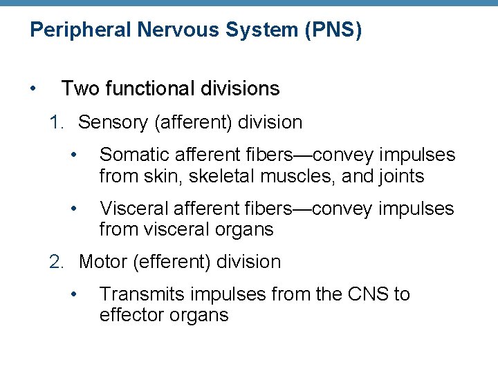 Peripheral Nervous System (PNS) • Two functional divisions 1. Sensory (afferent) division • Somatic