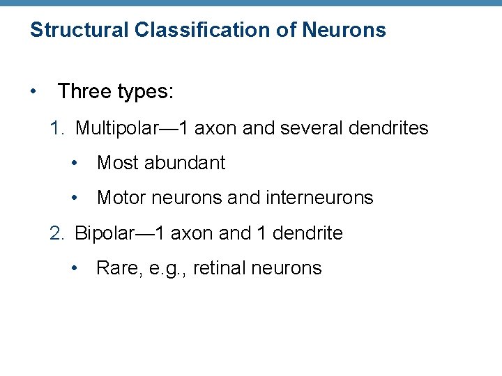 Structural Classification of Neurons • Three types: 1. Multipolar— 1 axon and several dendrites