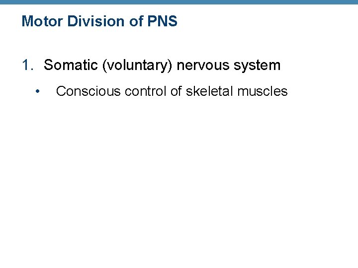 Motor Division of PNS 1. Somatic (voluntary) nervous system • Conscious control of skeletal