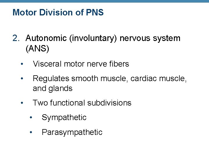 Motor Division of PNS 2. Autonomic (involuntary) nervous system (ANS) • Visceral motor nerve