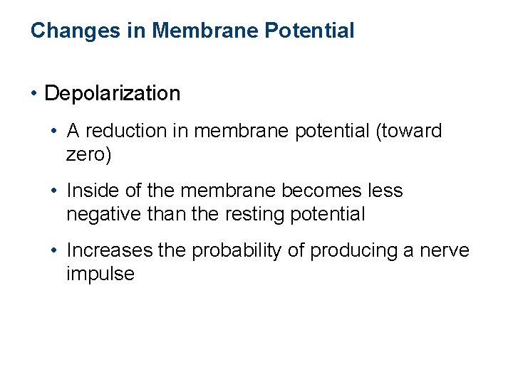 Changes in Membrane Potential • Depolarization • A reduction in membrane potential (toward zero)