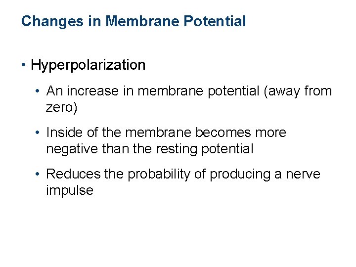 Changes in Membrane Potential • Hyperpolarization • An increase in membrane potential (away from