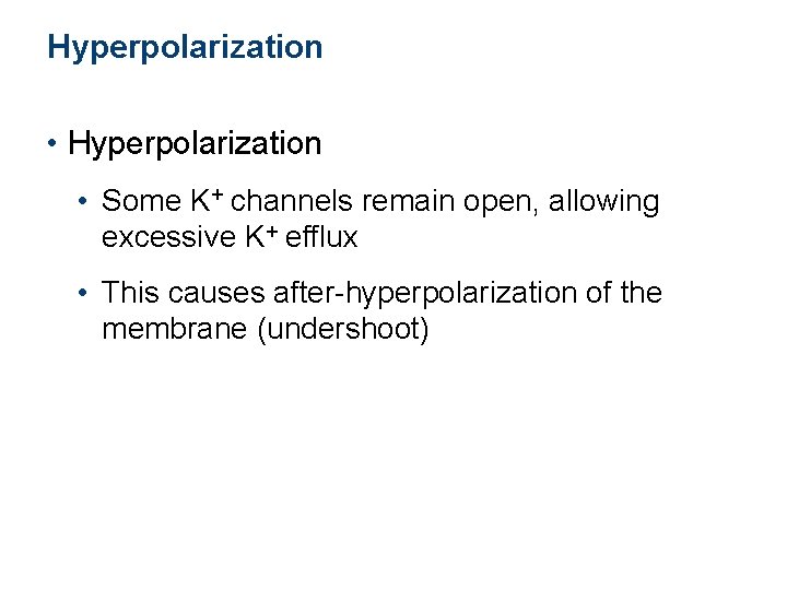 Hyperpolarization • Hyperpolarization • Some K+ channels remain open, allowing excessive K+ efflux •