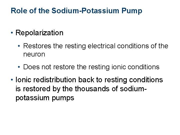 Role of the Sodium-Potassium Pump • Repolarization • Restores the resting electrical conditions of