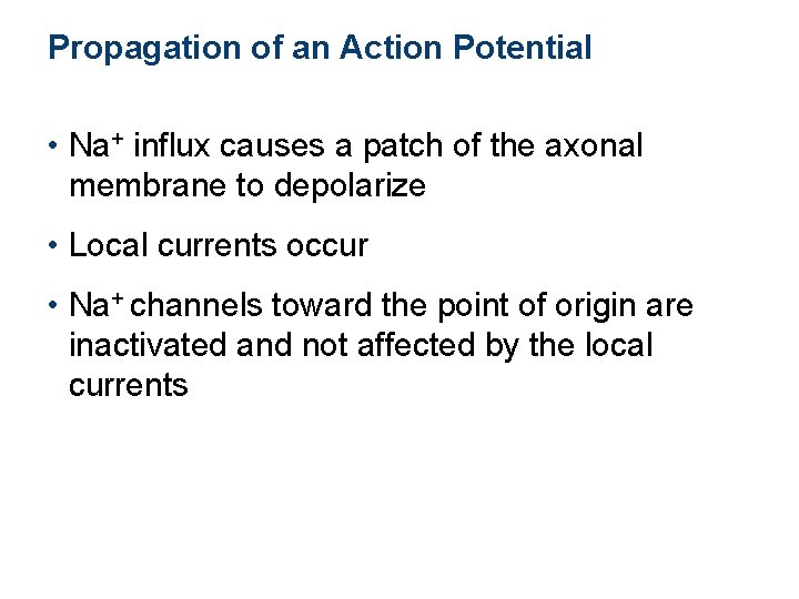 Propagation of an Action Potential • Na+ influx causes a patch of the axonal