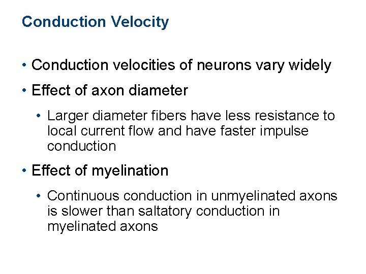 Conduction Velocity • Conduction velocities of neurons vary widely • Effect of axon diameter