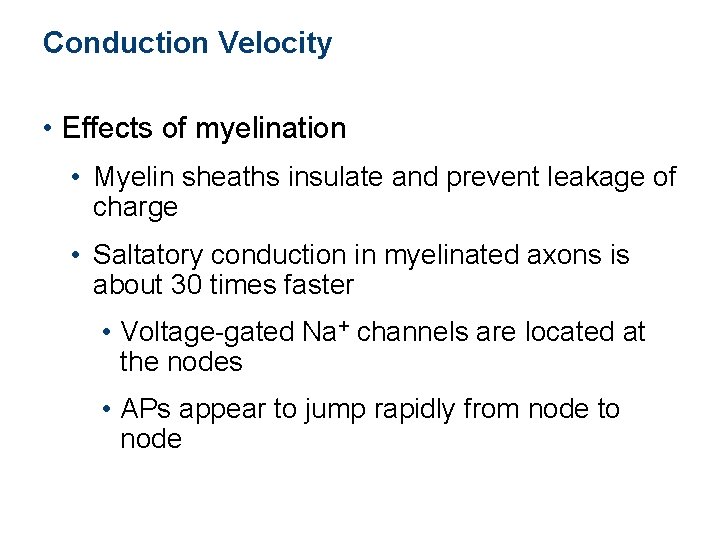 Conduction Velocity • Effects of myelination • Myelin sheaths insulate and prevent leakage of