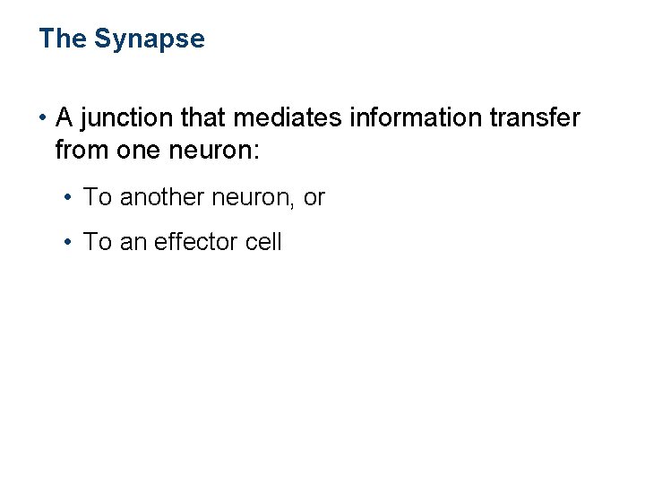 The Synapse • A junction that mediates information transfer from one neuron: • To