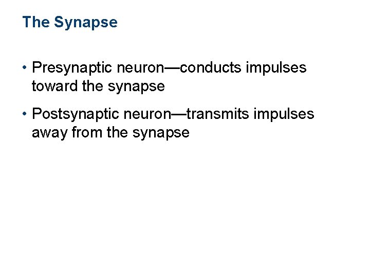 The Synapse • Presynaptic neuron—conducts impulses toward the synapse • Postsynaptic neuron—transmits impulses away