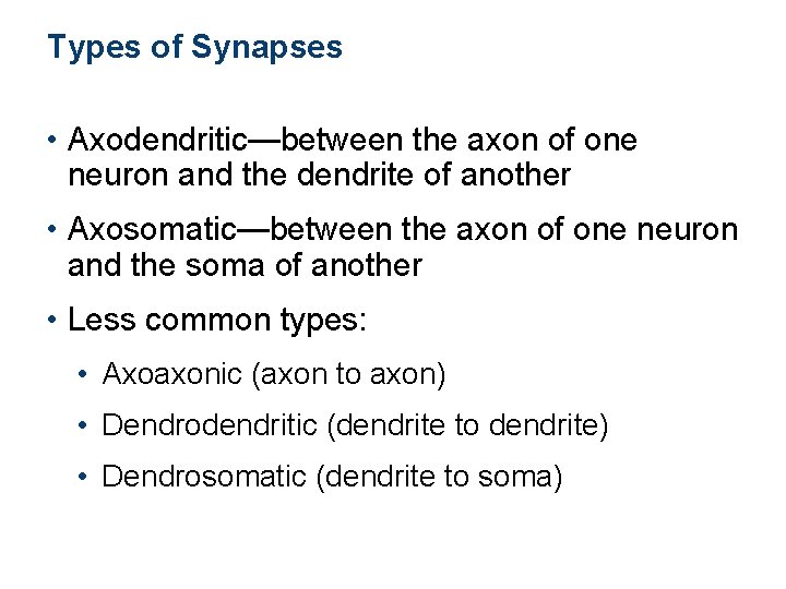 Types of Synapses • Axodendritic—between the axon of one neuron and the dendrite of