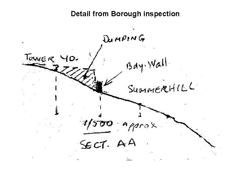 Detail from Borough inspection 