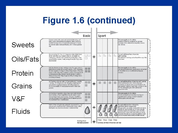 Figure 1. 6 (continued) Sweets Oils/Fats Protein Grains V&F Fluids 