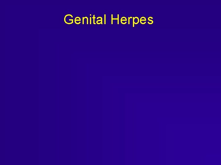 Genital Herpes Genital Herpes