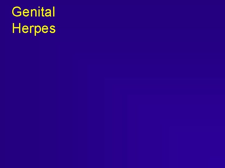 Genital Herpes Genital Herpes