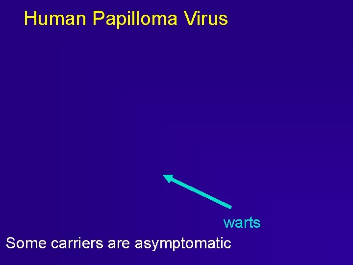 Human Papilloma Virus warts Some carriers are asymptomatic Human Papilloma Virus warts Some carriers are asymptomatic