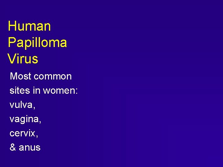 Human Papilloma Virus Most common sites in women: vulva, vagina, cervix, & anus Human Papilloma Virus Most common sites in women: vulva, vagina, cervix, & anus