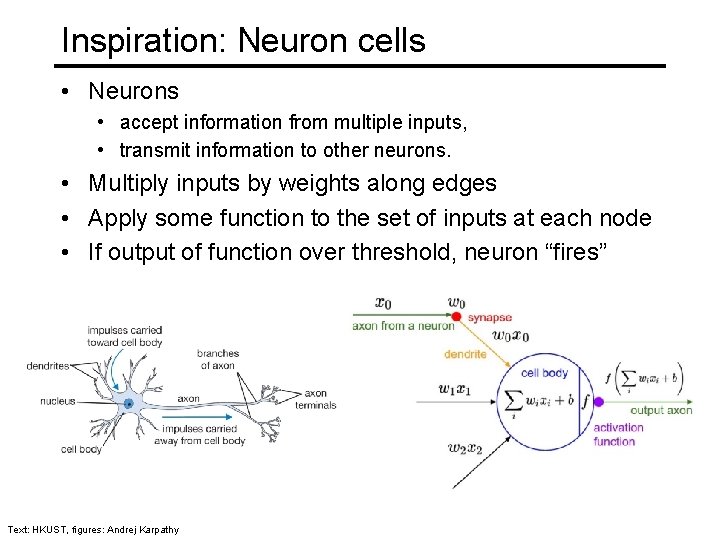 Inspiration: Neuron cells • Neurons • accept information from multiple inputs, • transmit information