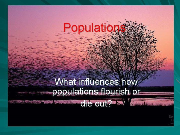 Populations What influences how populations flourish or die out? 