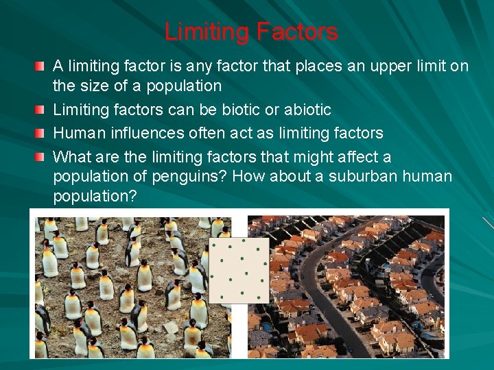 Limiting Factors A limiting factor is any factor that places an upper limit on