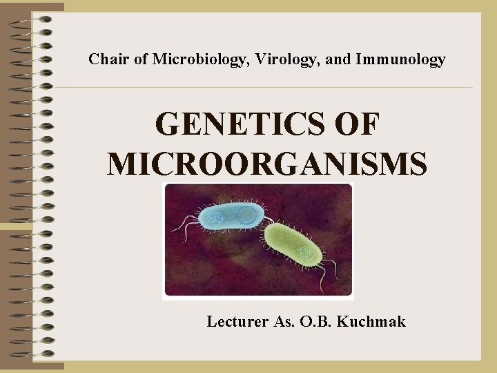 Chair of Microbiology, Virology, and Immunology GENETICS OF MICROORGANISMS Lecturer As. O. B. Kuchmak