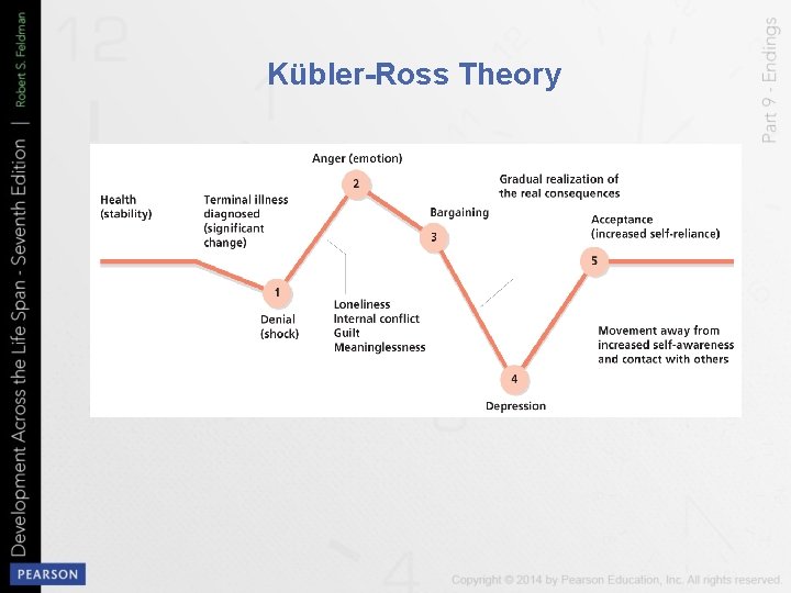 Kübler-Ross Theory 