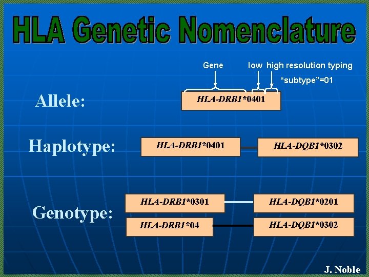 Gene low high resolution typing “subtype”=01 Allele: Haplotype: Genotype: HLA-DRB 1*0401 HLA-DQB 1*0302 HLA-DRB