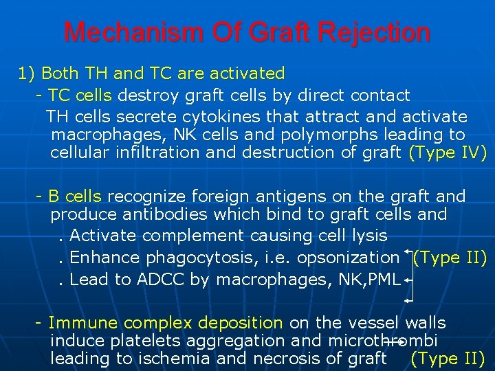 Mechanism Of Graft Rejection 1) Both TH and TC are activated - TC cells
