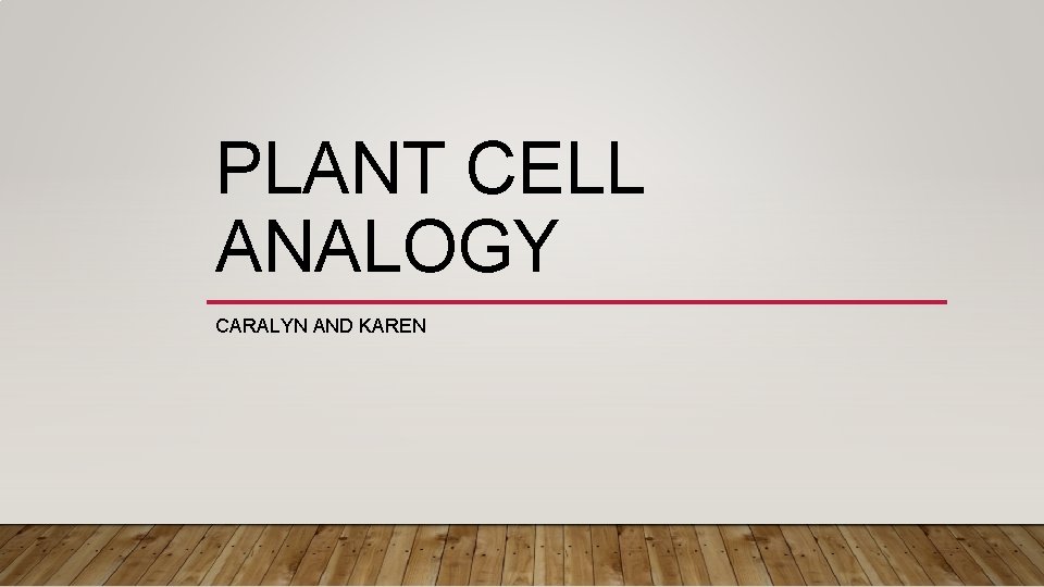 PLANT CELL ANALOGY CARALYN AND KAREN 