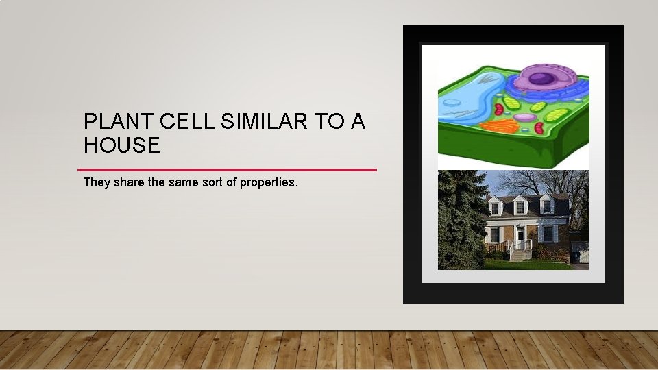 PLANT CELL SIMILAR TO A HOUSE They share the same sort of properties. 