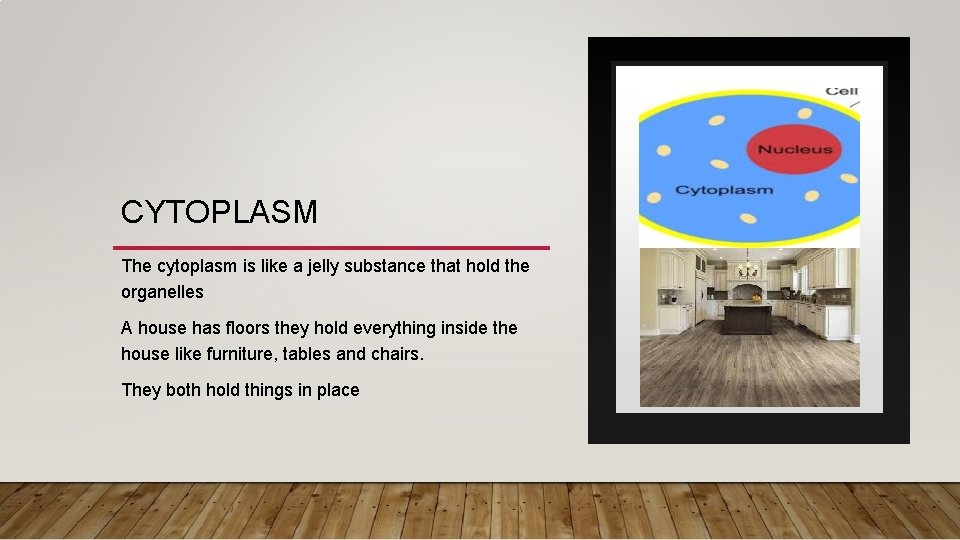 CYTOPLASM The cytoplasm is like a jelly substance that hold the organelles A house