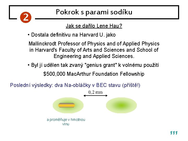 Pokrok s parami sodíku Jak se dařilo Lene Hau? • Dostala definitivu na Pokrok s parami sodíku Jak se dařilo Lene Hau? • Dostala definitivu na