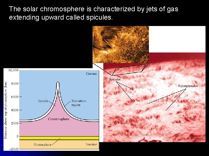 The solar chromosphere is characterized by jets of gas extending upward called spicules. The solar chromosphere is characterized by jets of gas extending upward called spicules.
