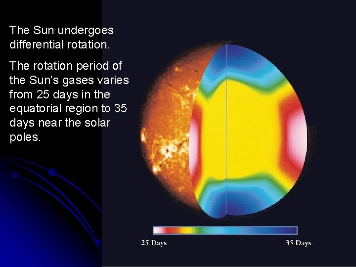 The Sun undergoes differential rotation. The rotation period of the Sun’s gases varies from The Sun undergoes differential rotation. The rotation period of the Sun’s gases varies from