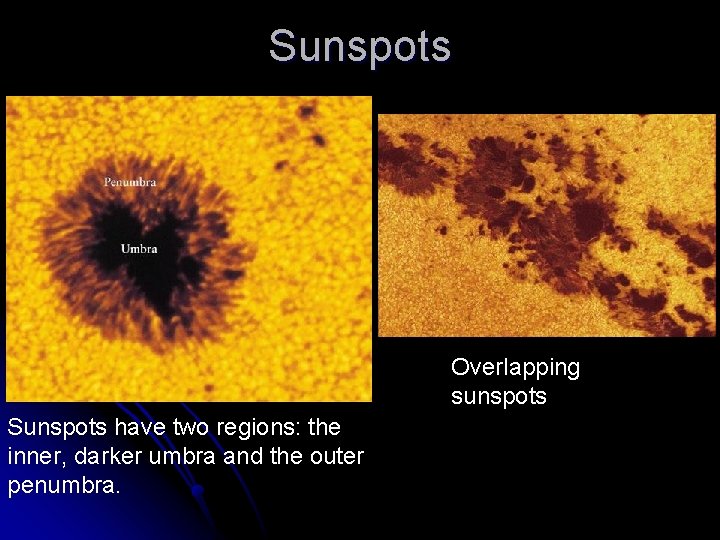 Sunspots Overlapping sunspots Sunspots have two regions: the inner, darker umbra and the outer Sunspots Overlapping sunspots Sunspots have two regions: the inner, darker umbra and the outer