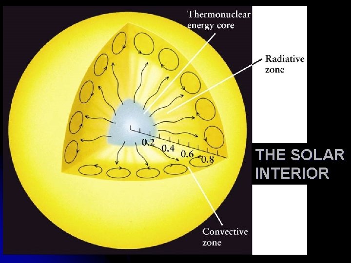 THE SOLAR INTERIOR THE SOLAR INTERIOR