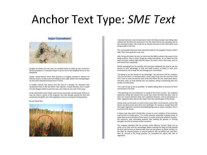 Anchor Text Type: SME Text 