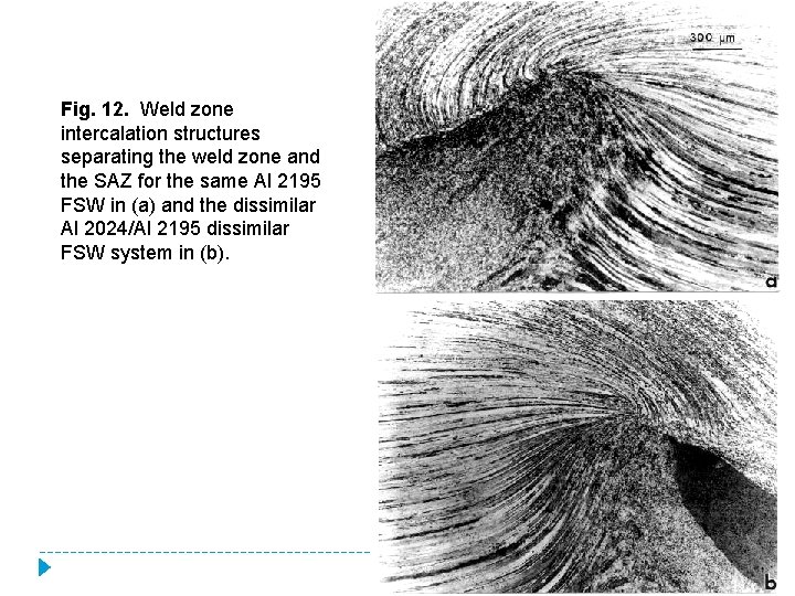 Fig. 12. Weld zone intercalation structures separating the weld zone and the SAZ for