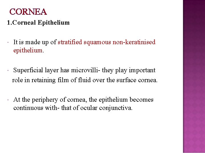 CORNEA 1. Corneal Epithelium It is made up of stratified squamous non-keratinised epithelium. Superficial