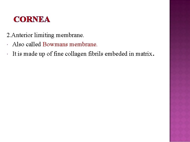 CORNEA 2. Anterior limiting membrane. Also called Bowmans membrane. It is made up of