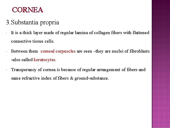 CORNEA 3. Substantia propria It is a thick layer made of regular lamina of