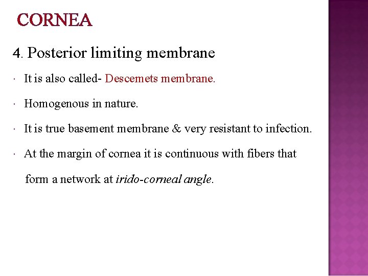 CORNEA 4. Posterior limiting membrane It is also called- Descemets membrane. Homogenous in nature.