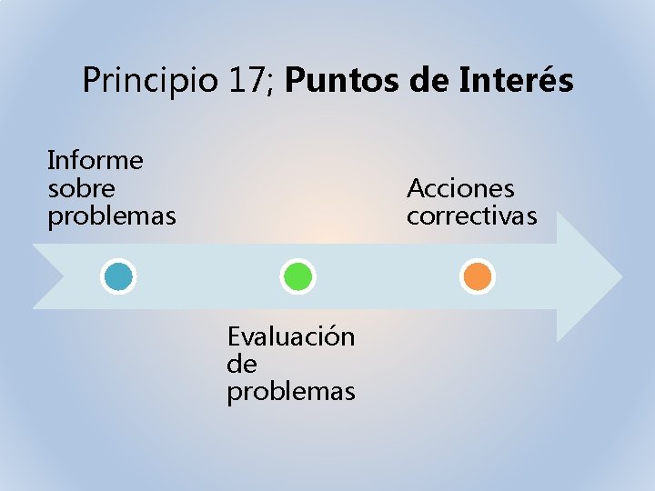 Principio 17; Puntos de Interés Informe sobre problemas Acciones correctivas Evaluación de problemas 
