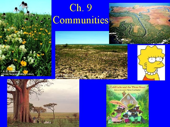 Ch. 9 Communities 