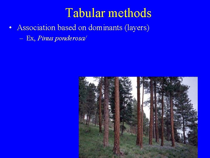 Tabular methods • Association based on dominants (layers) – Ex, Pinus ponderosa/ 