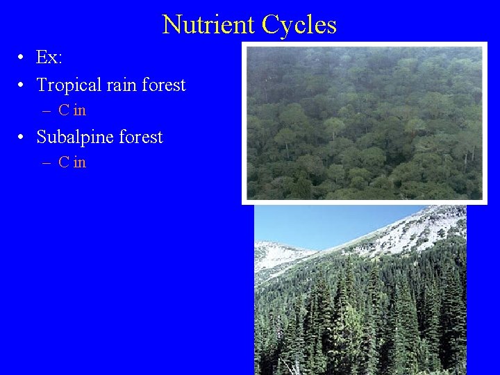 Nutrient Cycles • Ex: • Tropical rain forest – C in • Subalpine forest