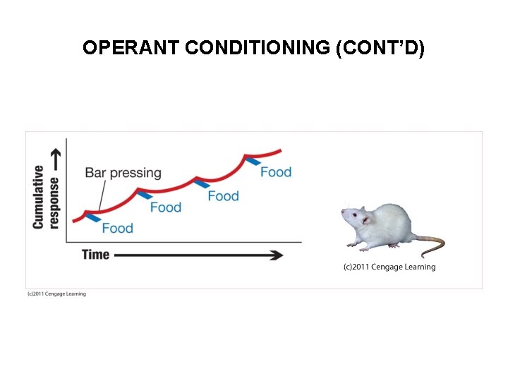 OPERANT CONDITIONING (CONT’D) 