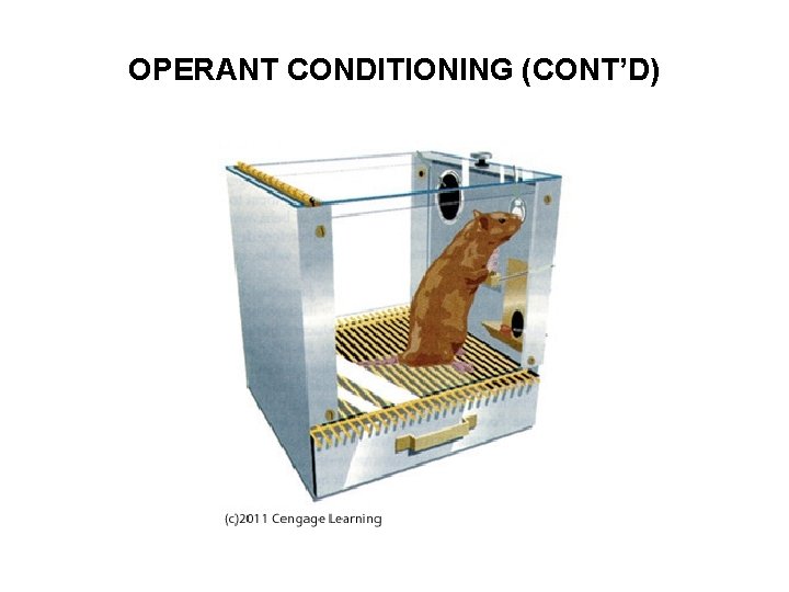 OPERANT CONDITIONING (CONT’D) 